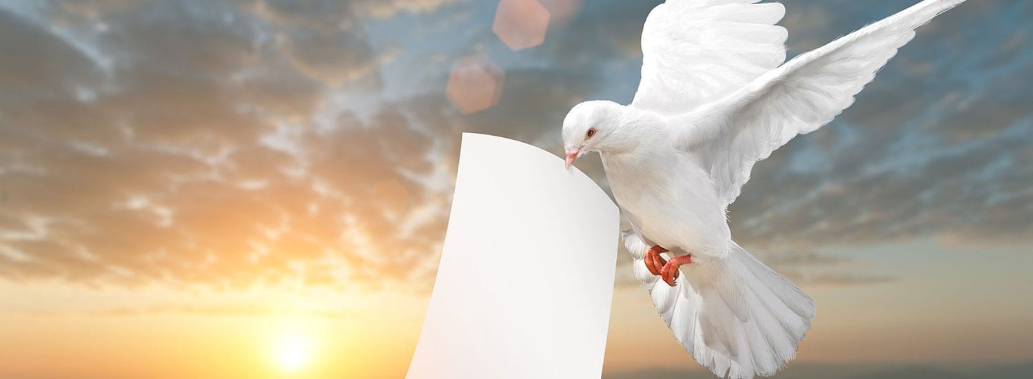 Maandinfo-2026-01 / Januari